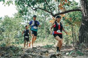 BIB: 
                            <button type="button" onclick="openModal(26096357)" class="btn btn-primary btn-sm float-right btn-popup" data-toggle="modal" data-target=".modal-high-quality">
                        <i class="fas fa-shopping-cart"></i> Add to Cart
                    </button>
                                            <button type="button" onclick="isThisMe(26096357, true)" class="btn btn-success btn-sm float-right btn-popup btn-isme hidden" data-toggle="tooltip" data-placement="bottom" title="นี่คือรูปของคุณใช่ไหม คลิกที่นี่เพื่อเอาเข้าอัลบั้ม">
                        <i class="fas fa-plus"></i> Add to album
                    </button>
                    <button type="button" onclick="isThisMe(26096357, false)" class="btn btn-warning btn-sm float-right btn-popup btn-isnotme hidden">
                        <i class="fas fa-ban"></i> Remove from album
                    </button>